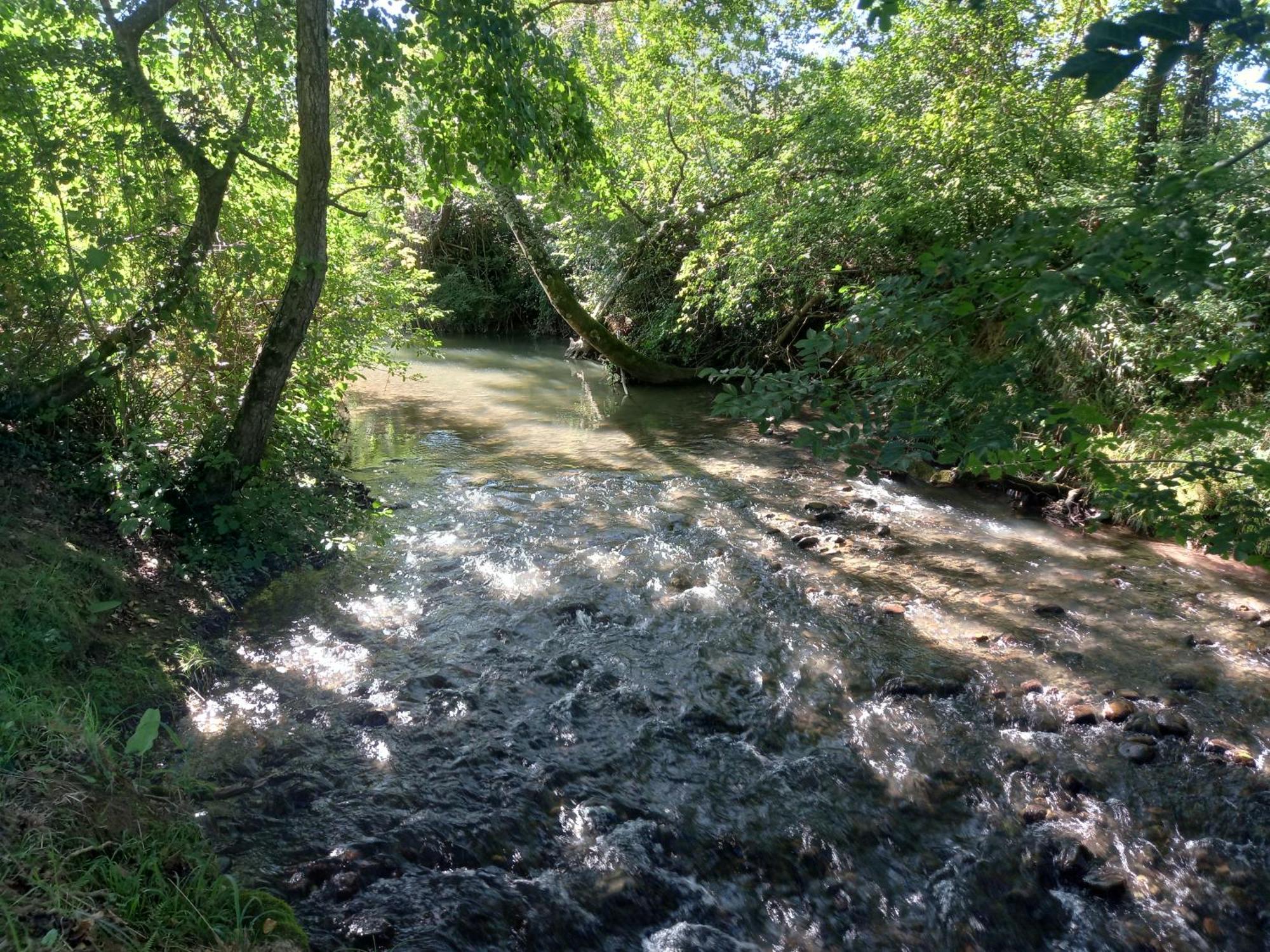 Willa L'Oasis Des Pyrenees Campuzan Zewnętrze zdjęcie