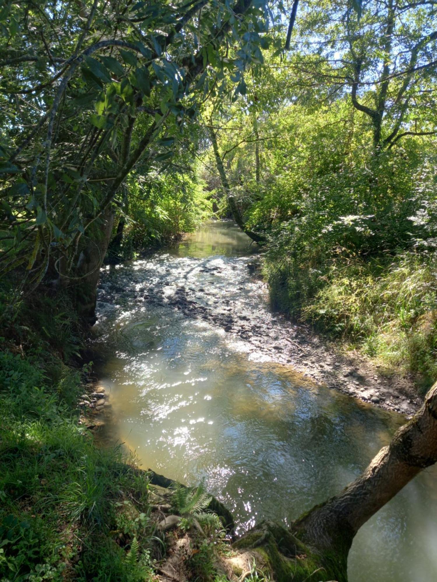Willa L'Oasis Des Pyrenees Campuzan Zewnętrze zdjęcie